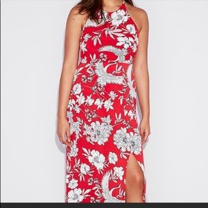 Express Red Floral Long Dress